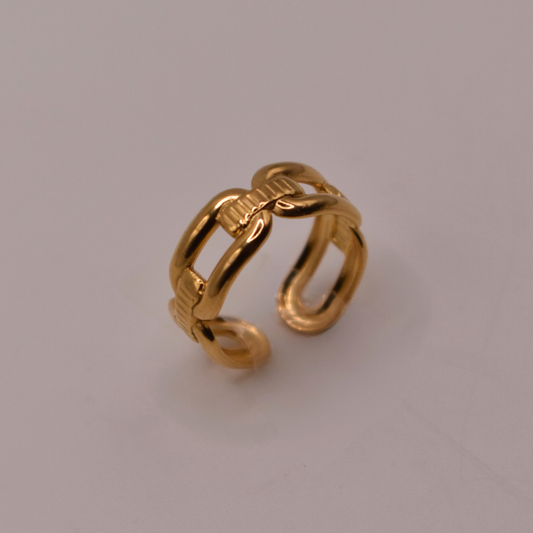 ANILLO SALAMA