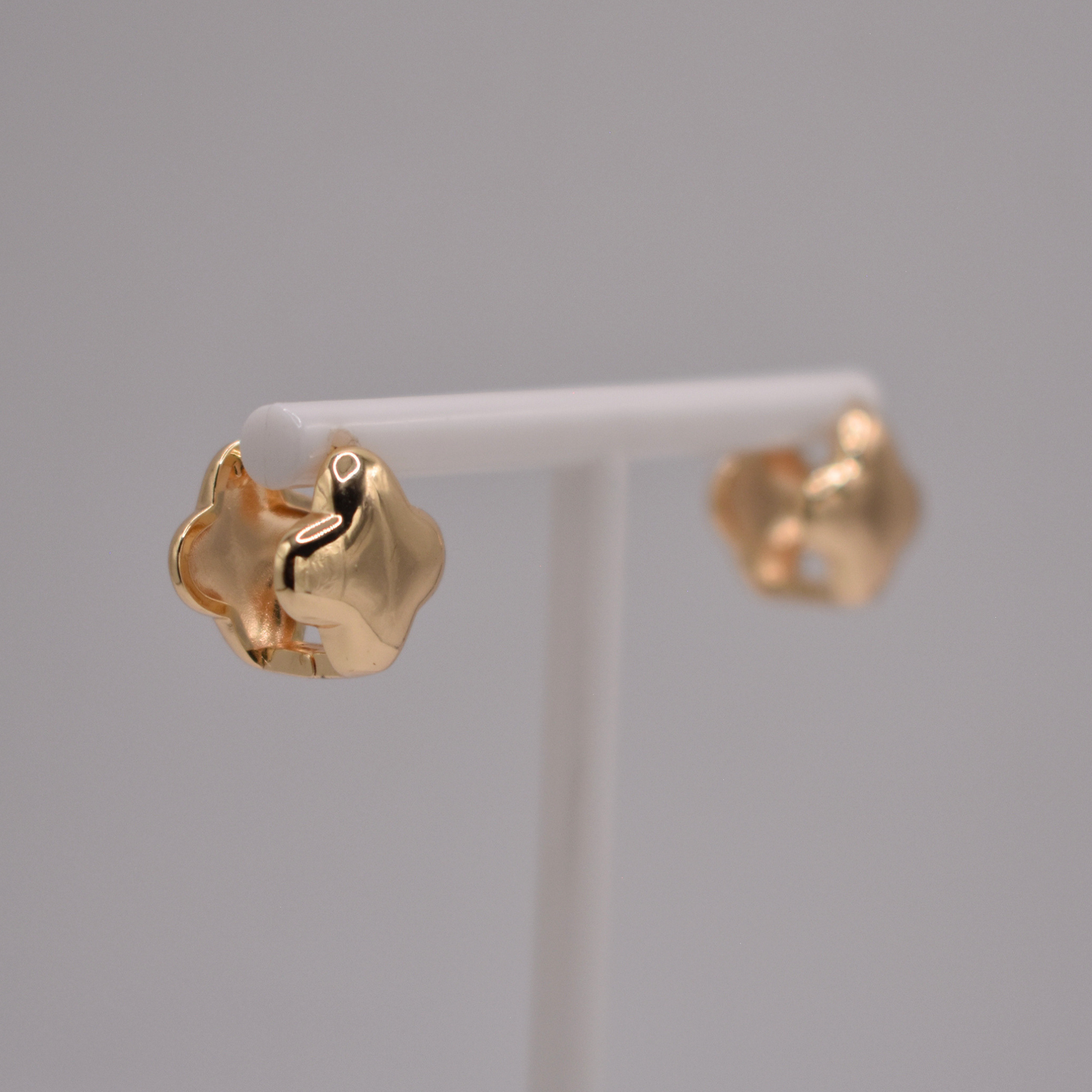 ARETES DARIEN