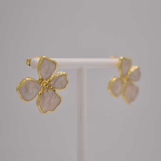 ARETES XENIA