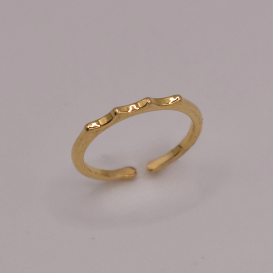 ANILLO AUSET