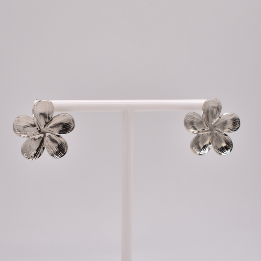 ARETES AURORA