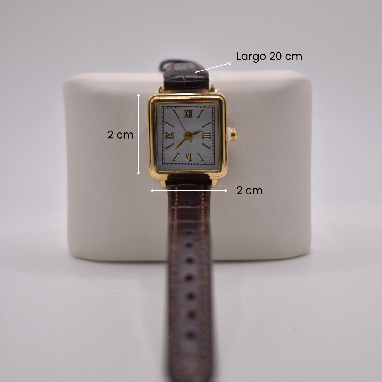 RELOJ GREGOR