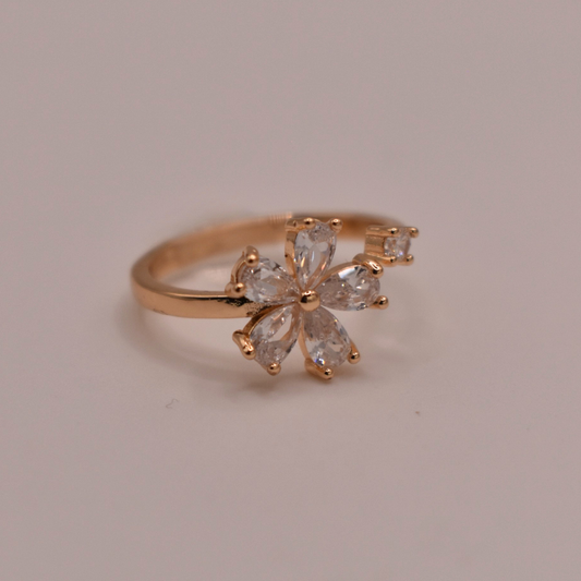 ANILLO ZAHI
