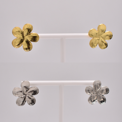 ARETES AURORA