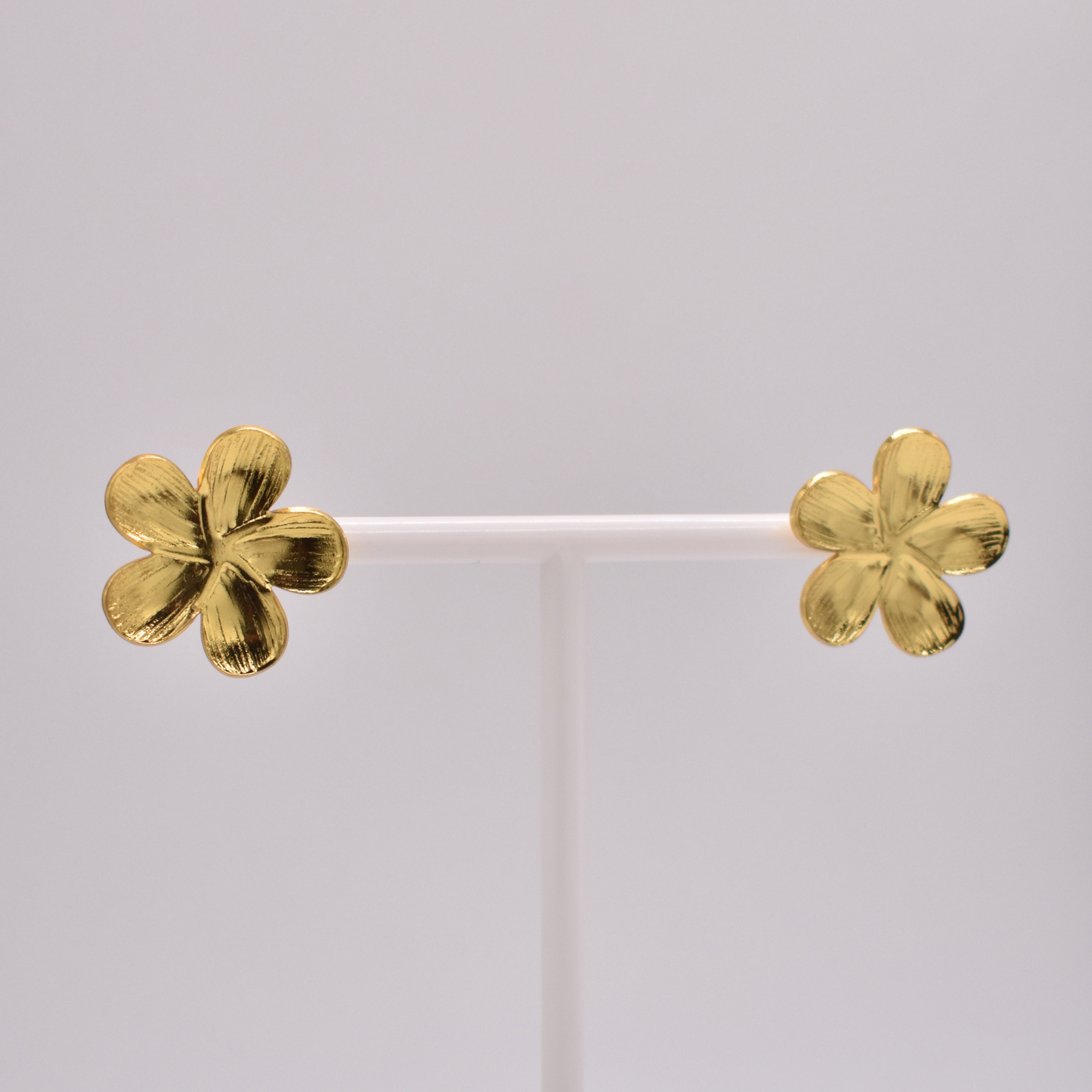 ARETES AURORA