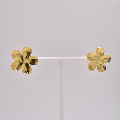 ARETES AURORA