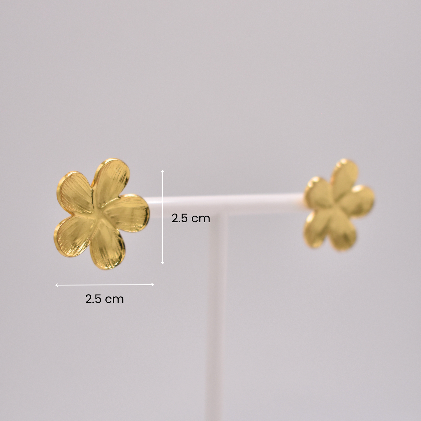 ARETES AURORA