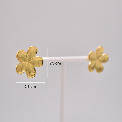 ARETES AURORA