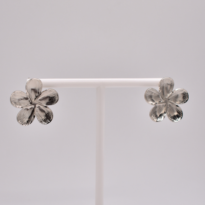 ARETES AURORA
