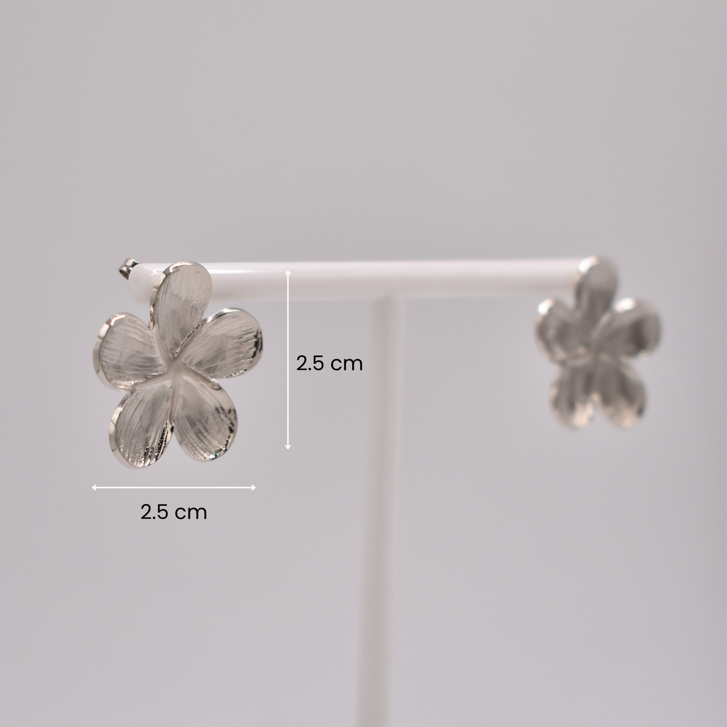 ARETES AURORA